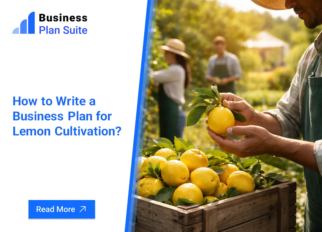 Lemon Cultivation business plan guide with 5-year metrics