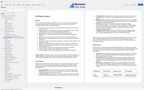 limousine taxi business plan market analysis bpt
