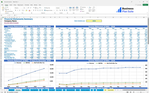 limousine taxi financial model summary bpt