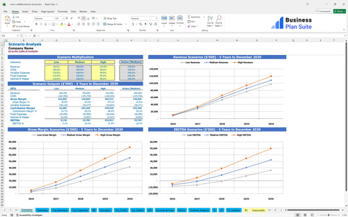 micro satellite launch service financial model scenarios bpt