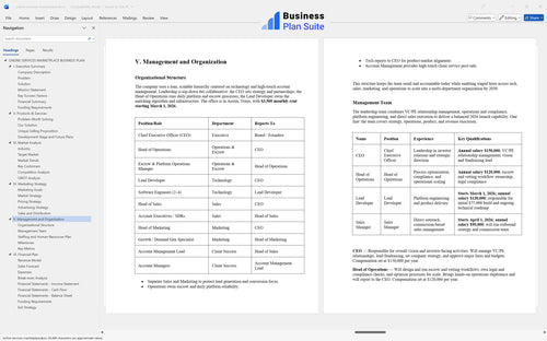 online services marketplace business plan management bpt