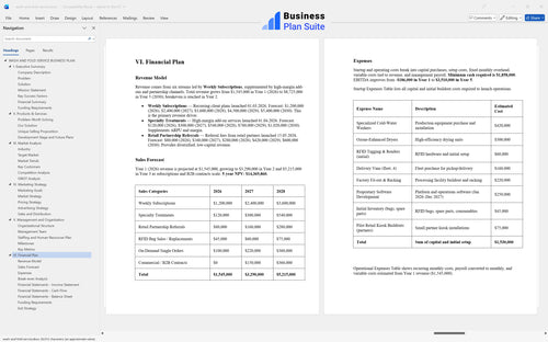 wash and fold service business plan financial plan bpt