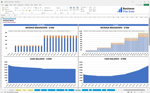 weight loss center financial model financial charts bpt